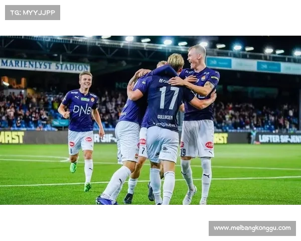 2019年挪超赛季全景扫描冠军之路与黑马传奇