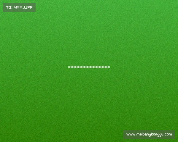 央视独家转播世界一级方程式锦标赛激烈角逐全程精彩不容错过