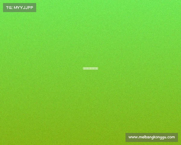 湖人队比赛赛事有哪些