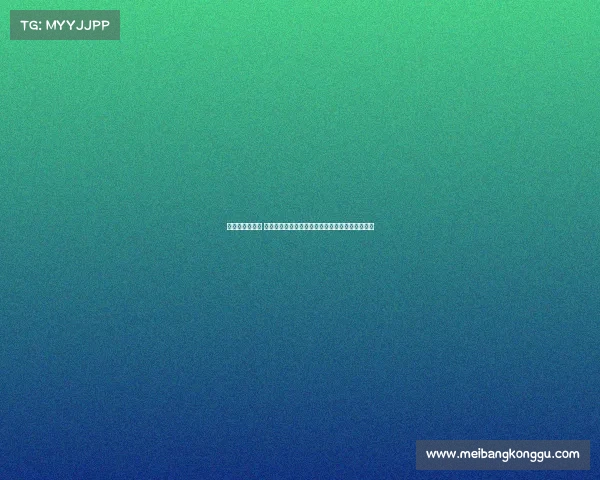 河北精英队赛事 河北精英队征战国内外赛事披荆斩棘铸就辉煌历程